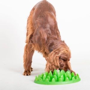 Green, large, slow feeder